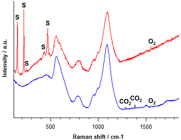Raman spectra of the chemicals present in the glass inclusions